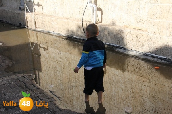 dakka majary 0125 (13).JPG